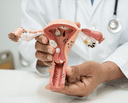 Common Menstrual Problems 